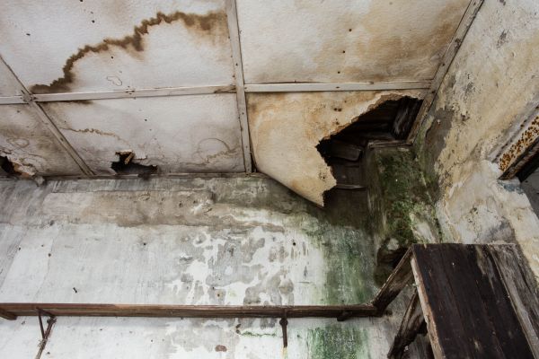 Water Damage Service in Nokomis