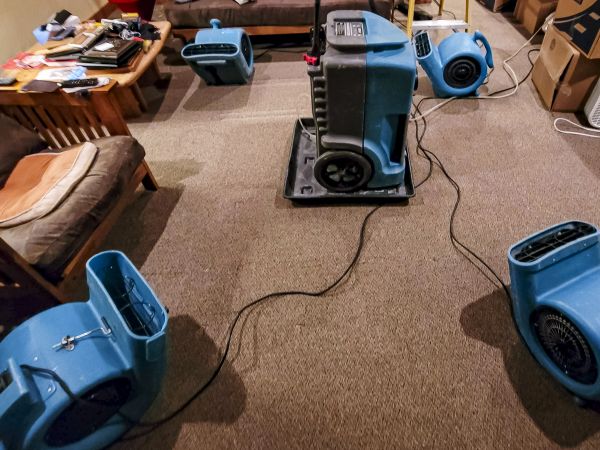 Flood Damage Recovery in Nokomis
