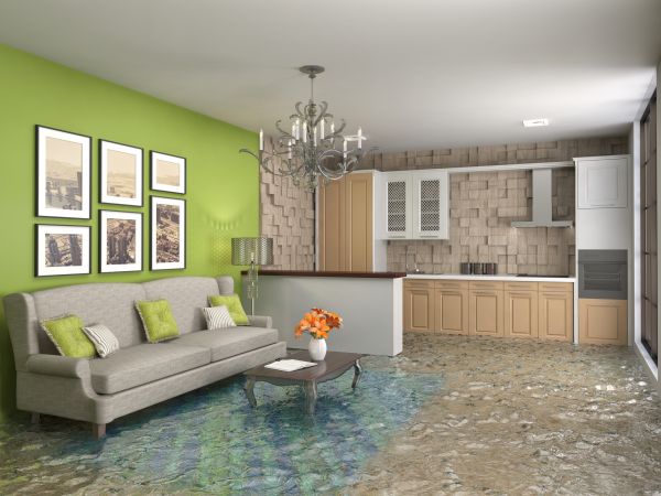 Wet Carpet Drying in Nokomis