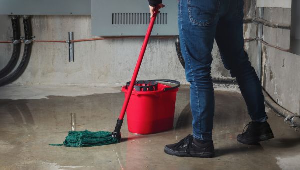 Flooded Basement Cleanup in Nokomis