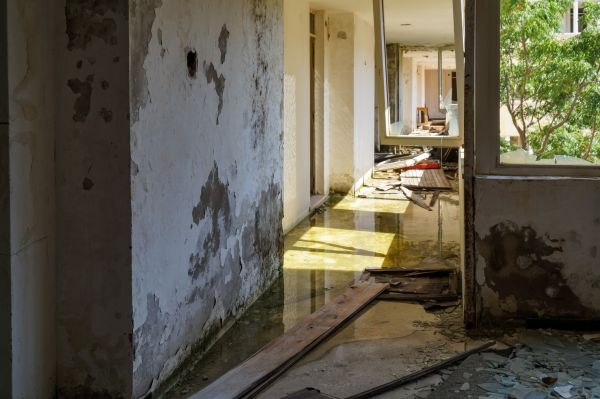 Water Removal Service in Nokomis