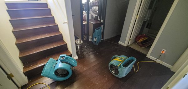 Water Damage Remediation in Nokomis
