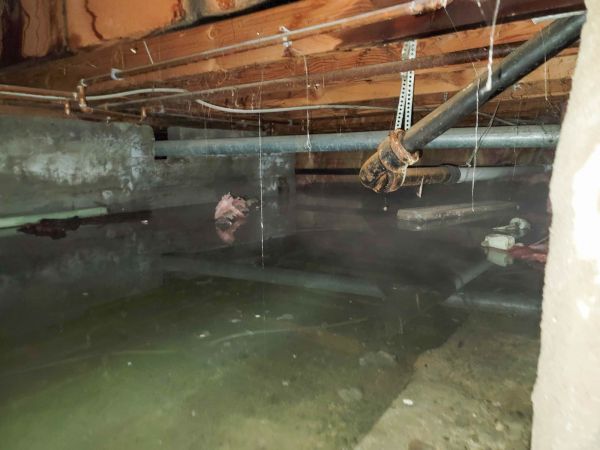 Water Mitigation Service in Nokomis