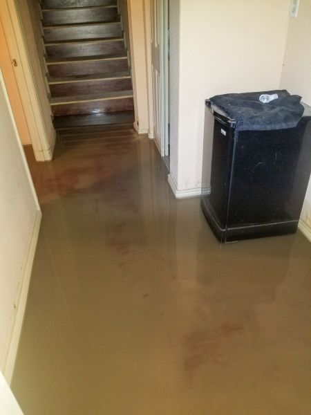 Emergency Water Removal in Nokomis