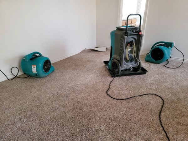 Water Damage Repair in Nokomis