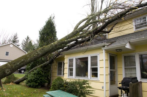 Hurricane Damage Repair in Nokomis